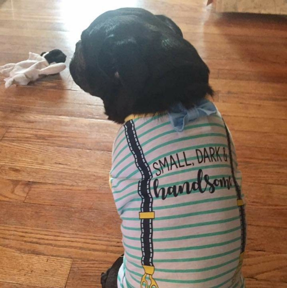 Meet your Posher, Patricia - Picture 4 of 6